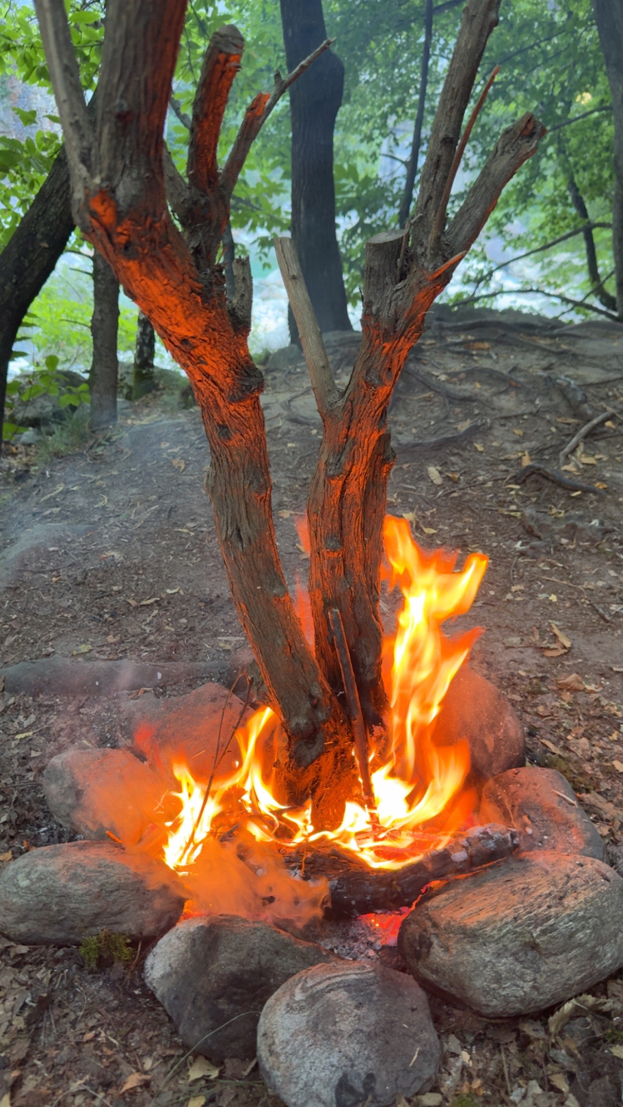 Lagerfeuer zwischen Steinen am Flussufer, die Flammen schlagen in der Dämmerung hoch.